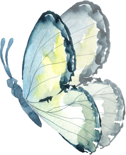 Blue watercolor butterfly